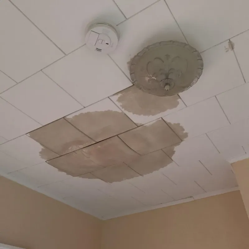 Ceiling Water Damage Repair in Coram, NY